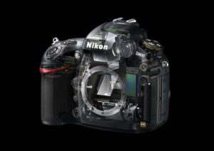 Nikon D800 Erfahrungen Test