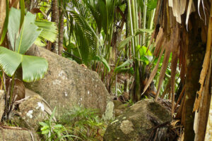 seychellen-bilder-fotos-content-004