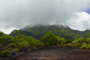seychellen-bilder-fotos-006-12