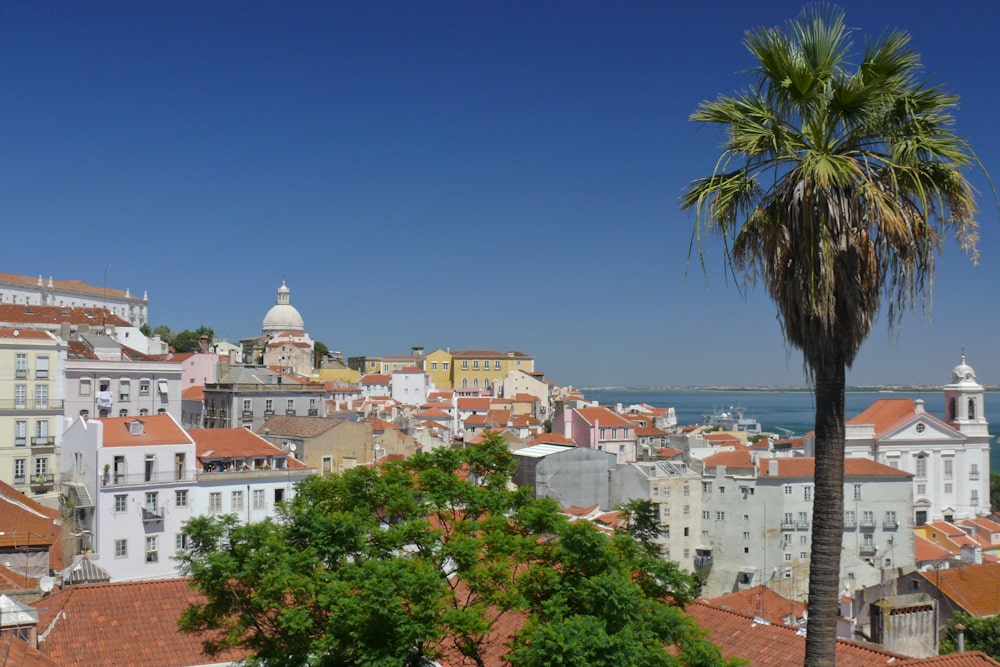 dubai-bilder-fotos-001-9