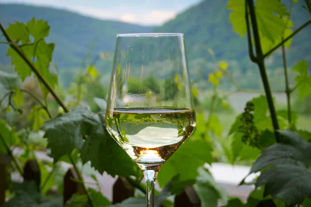 wachau-bilder-fotos-001