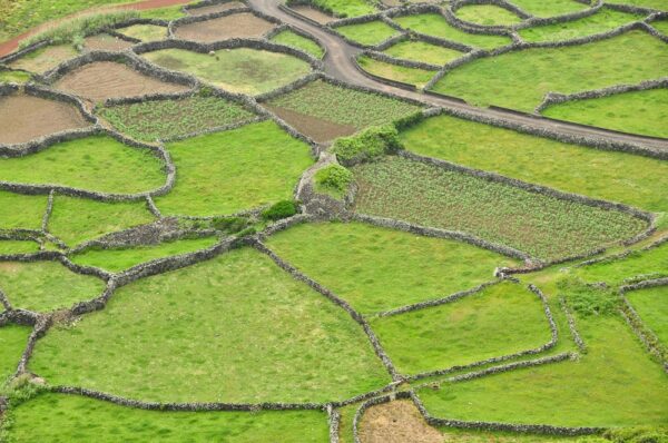 Felder auf einer Landzunge, Flores, Azoren, Portugal