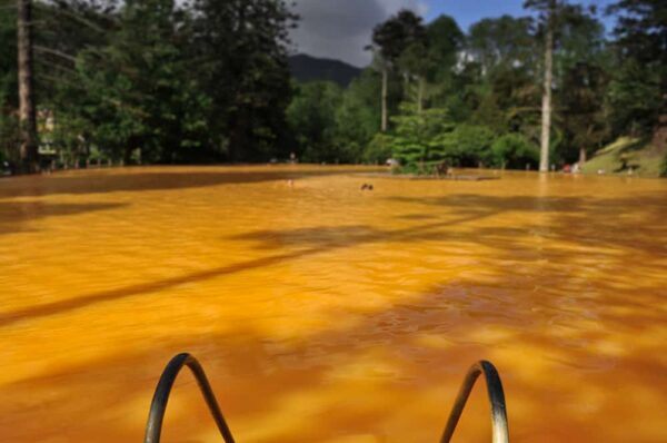 Naturthermalbad im Parque Terra Nostra, Sao Miguel, Azoren, Portugal