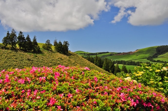 Liebliches Furnas-Tal, Sao Miguel, Azoren, Portugal