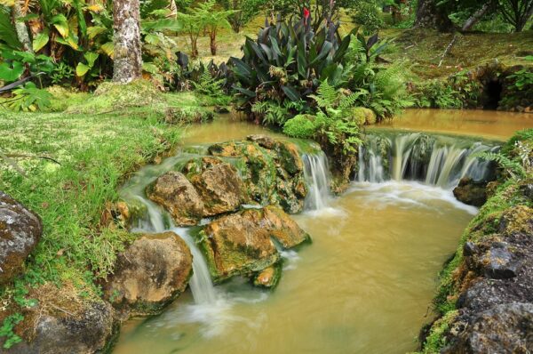 Kaskaden inmitten tropischer Vegatation nahe Furnas, Sao Miguel, Azoren, Portugal