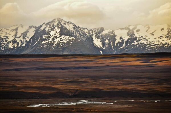 Der Berg ruft 20 | Steppe und schneebedeckte Berge in Otago, Southern Alps, Neuseeland