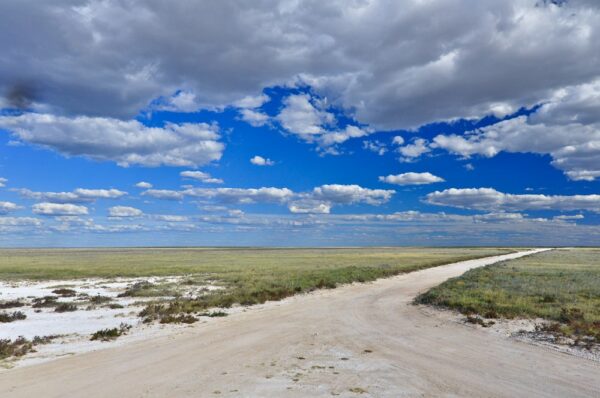 Typisch Afrika: tiefe Wolken über Sandpad, Etosha-Pfanne, Namibia