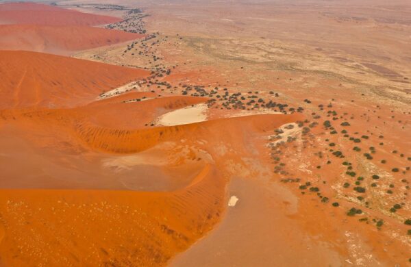 Dünenkämme, Sossusvlei, Namib-Naukluft-Nationalpark, Namibia