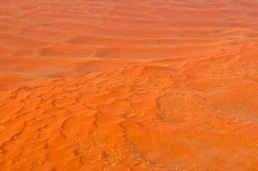 Dünenformationen, Sossusvlei, Namib-Naukluft-Nationalpark, Namibia