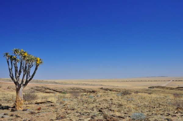 Highway to Nowhere, Namibia