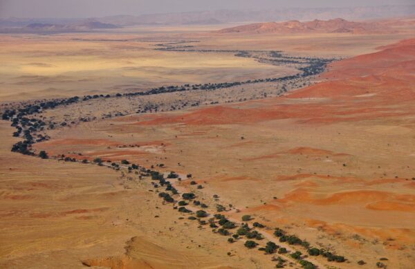 Akazienallee, Sossusvlei, Namibia