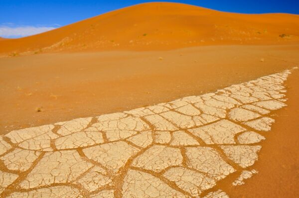 Kunstwerke der Trockenheit, Sossusvlei, Namib-Naukluft-Nationalpark, Namibia