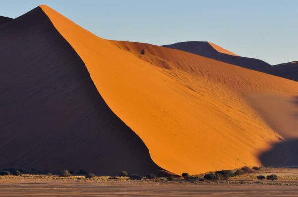 Bäume vor Sanddüne, Sossusvlei, Namib-Naukluft-Nationalpark, Namibia