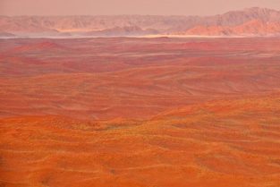 Luftaufnahme von Dünenfeld in der Namibwüste, Namibia