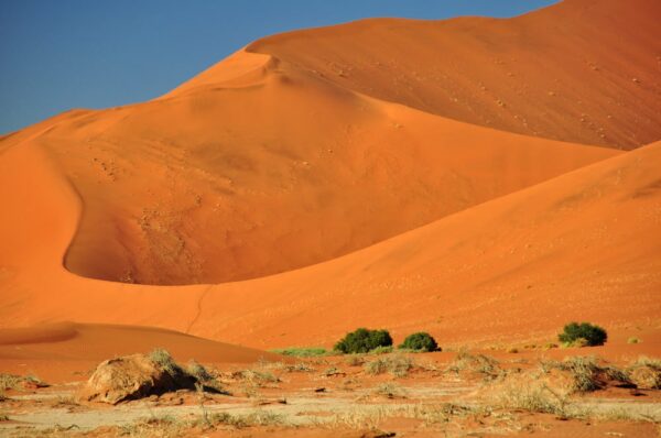 Big Daddy, eine der höchsten Dünen der Welt, Namibia