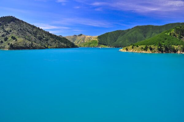 Fjordlandschaft in den Marlborough Sounds, Südinsel, Neuseeland