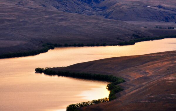 Lake Alexandrina, Mackenzie-Distrikt, Canterbury, Neuseeland