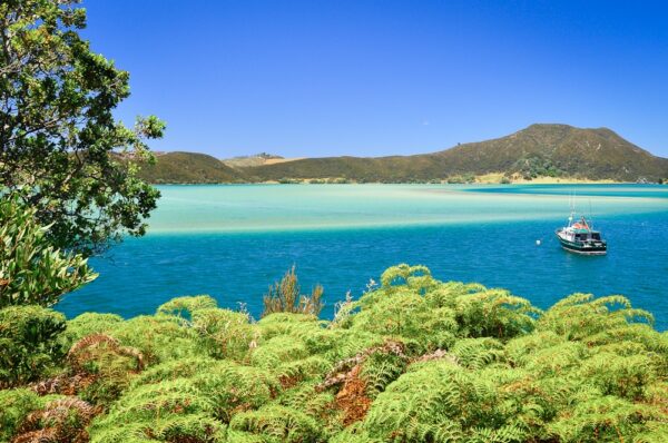 Strand in der Bay of Islands, Northland, Nordinsel, Neuseeland