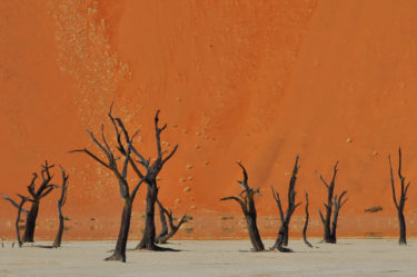 Dead Vlei, Namib-Wüste, Namibia