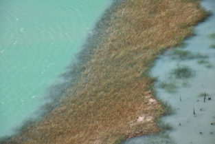 Insel im Río Ibáñez, Patagonien, Chile