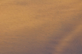 Struktur von Sanddünen, Namib-Wüste, Namibia