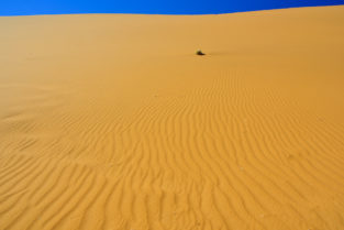 Sanddünen, Namib-Naukluft-Nationalpark, Namibia