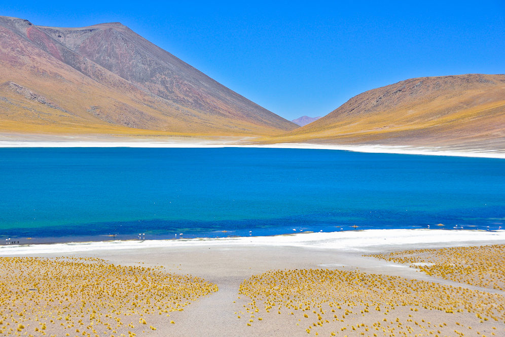 Laguna Miñiques (4.120 m), Los Flamencos Nationalpark, Región Antofagasta, Chile