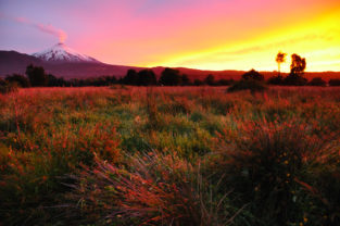 Vulkan Villarica, Pucon, Patagonien, Región de la Auracania, Chile