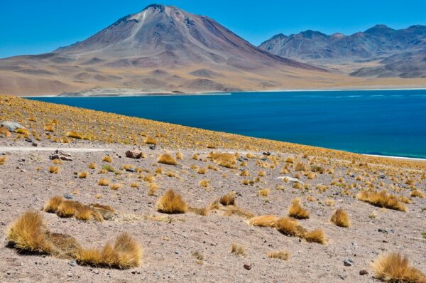 Laguna Miscanti (4.120 m), Los Flamencos Nationalpark, Región Antofagasta, Chile