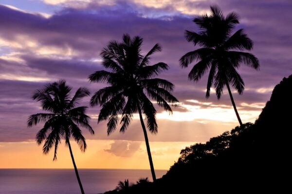 Palmenstrand bei Soufriére, St. Lucia, Karibik