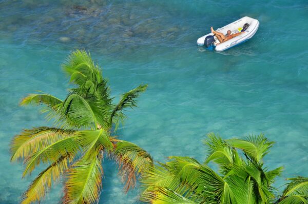 Palmen und türkises Meer, Tobago Cays, St. Vincent & Grenadinen, Karibik