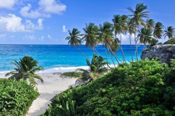 Palmenstrand der Bottom Bay, Barbados, Karibik