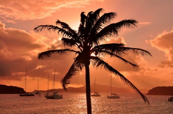 Palme meets Sonnenuntergang, Tobago Cays, St. Vincent & Grenadinen, Karibik