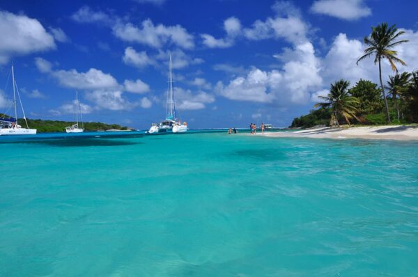 Palmenstrand auf der Insel Petit Rameau, Tobago Cays, Grenadinen, Karibik