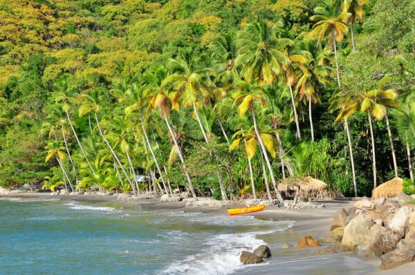 Tropischer Palmenstrand Anse Mamin nahe Anse Chastanet, Saint Lucia, Karibik