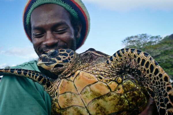 Naturschützer mit Karett-Schildkröte, Seychellen