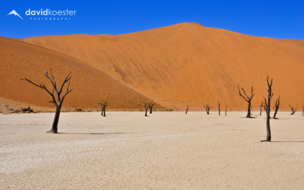 Namibia Wallpaper 1 | 1920x1200 | Dead Vlei, Namib-Naukluft, Wüste, Bäume, Hintergrundbild, Desktopbild, Bildschirmhintergrund