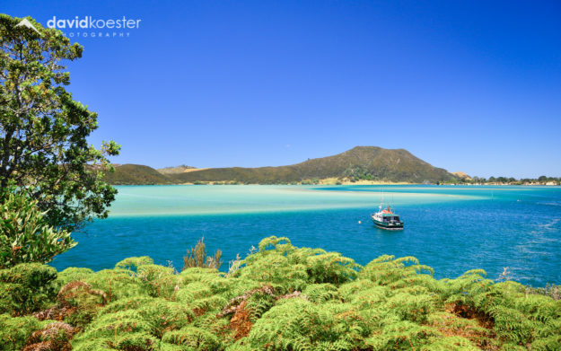 Neuseeland Wallpaper 3 | Bay of Islands Insel Strand Meer | 1920×1200 | Hintergrundbild, Desktopbild, Bildschirmhintergrund