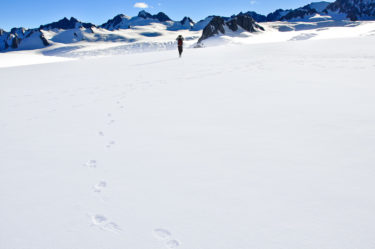 Bergsteigerin auf Schneefeld, Mount Cook, Südalpen, Neuseeland