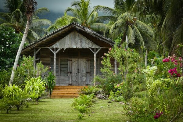 Holzhaus im Urwald, Mahé, Seychellen