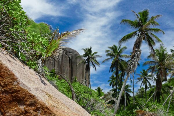 Robinson Crusoe-Feeling auf Felicité, Seychellen