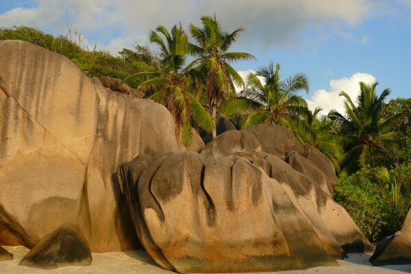 Granitfelsen und Palmen am Strand, La Digue, Seychellen