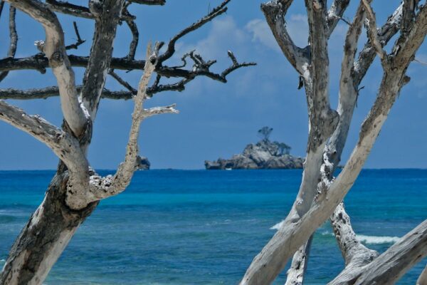 Anse Patates, La Digue, Seychellen