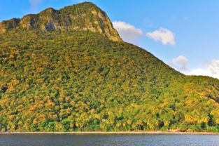 Palmen am Strand von Anse l'Ivrogne, St. Lucia, Karibik