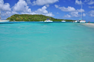 Strand auf der Insel Petit Rameau, Tobago Cays, Grenadinen, Karibik