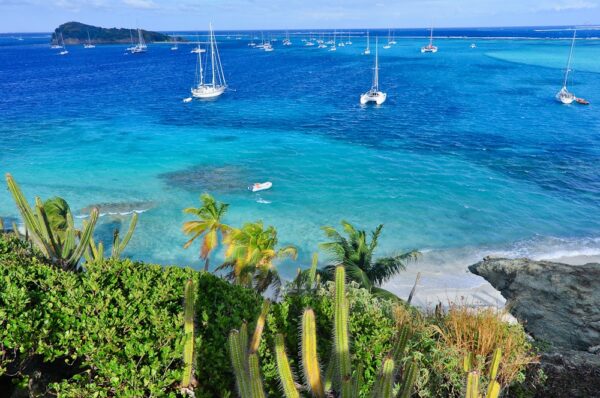 Strand und Riff der Insel Jamesby, Tobago Cays, Grenadinen, Karibik