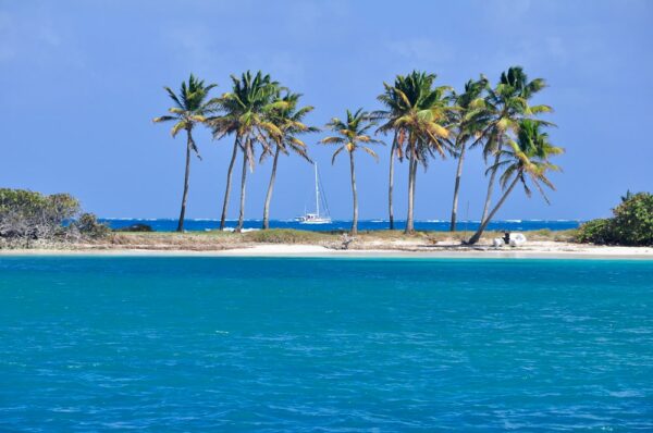 Palmenstrand an der Saltwhistle Bay, Tobago Cays, Grenadinen