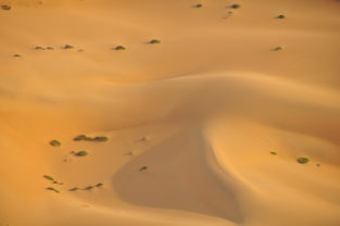 Sanddünen in der Kalahari, Namibia