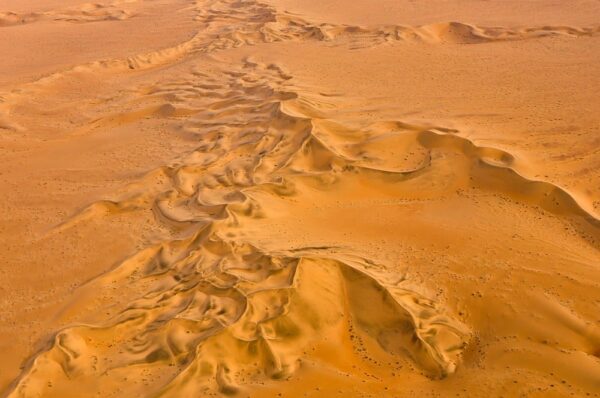 Dünenkämme, Namibwüste, Namibia