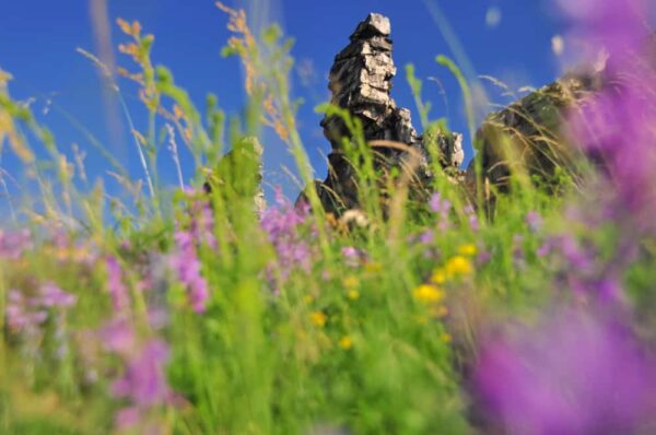 Deutschland 12 | Frühling an der Teufelsmauer, Harz, Sachsen-Anhalt